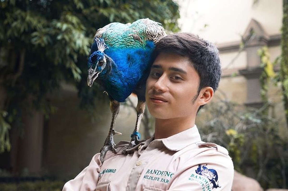 Alshad Kautsar Ahmad sepupu Raffi Ahmad memiliki hobi pelihara hewan liar&period; Yuk intip potret Alshad dan peliharaannya yang tak biasa&excl;