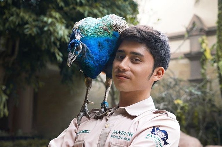 Alshad Kautsar Ahmad sepupu Raffi Ahmad memiliki hobi pelihara hewan liar. Yuk intip potret Alshad dan peliharaannya yang tak biasa!