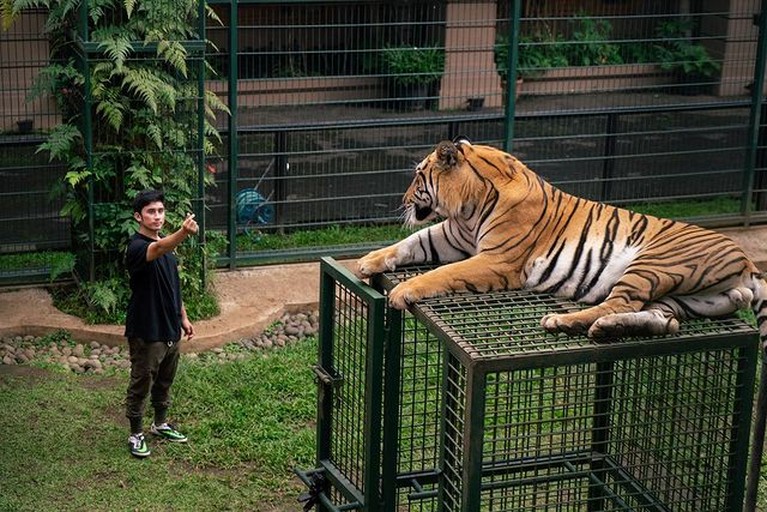 Alshad Kautsar Ahmad sepupu Raffi Ahmad memiliki hobi pelihara hewan liar. Yuk intip potret Alshad dan peliharaannya yang tak biasa!