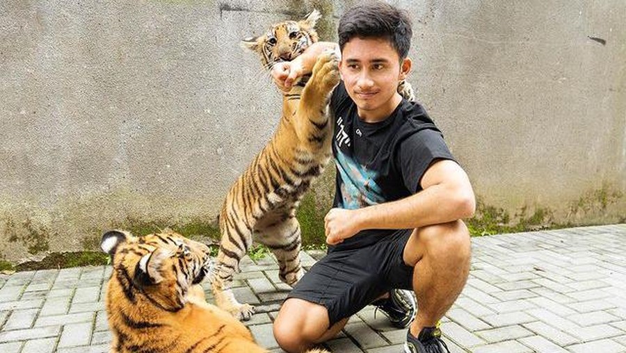 Alshad Kautsar Ahmad sepupu Raffi Ahmad memiliki hobi pelihara hewan liar. Yuk intip potret Alshad dan peliharaannya yang tak biasa!