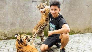 img-title Pro Kontra Alshad Ahmad soal Tudingan Eksploitasi Hewan Liar