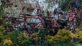 Misteri Pulau yang Dihuni Ratusan Boneka di Meksiko