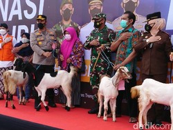 Vaksinasi COVID-19 di Trenggalek Berhadiah Kambing