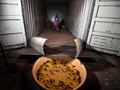 FOTO: Geram Petani karena Wabah Tikus di Australia