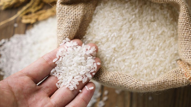Ilusstrasi beras Picking uncooked rice in a small burlap sack