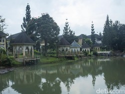 Terjerembab di Dunia Selimut Hidup, Pandangan Keluarga dan Tetangga