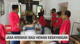VIDEO: Jasa Kremasi Bagi Hewan Kesayangan