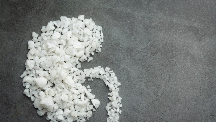 5 Cara Cegah Batu Ginjal, Penyakit yang Sempat Dialami Anang Hermansyah