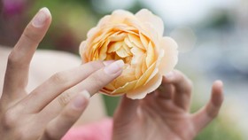 Apa Saja Manfaat Masturbasi untuk Wanita?