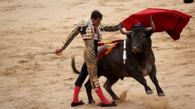 Spanyol membatalkan hadiah nasional penyelenggaraan duel matador dengan banteng karena menurunnya popularitas dan kekhawatiran terhadap kesejahteraan hewan.