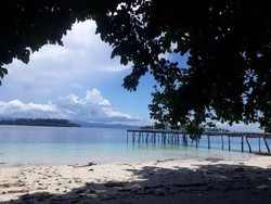 Papua Ingin Sail Teluk Cenderawasih Istimewa dan Tak Hanya Seremonial