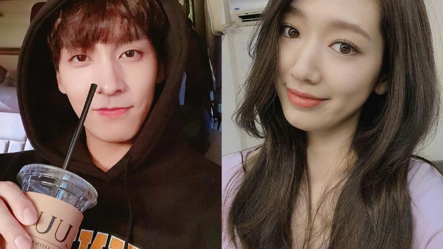 Choi Tae Joon dan Park Shin Hye