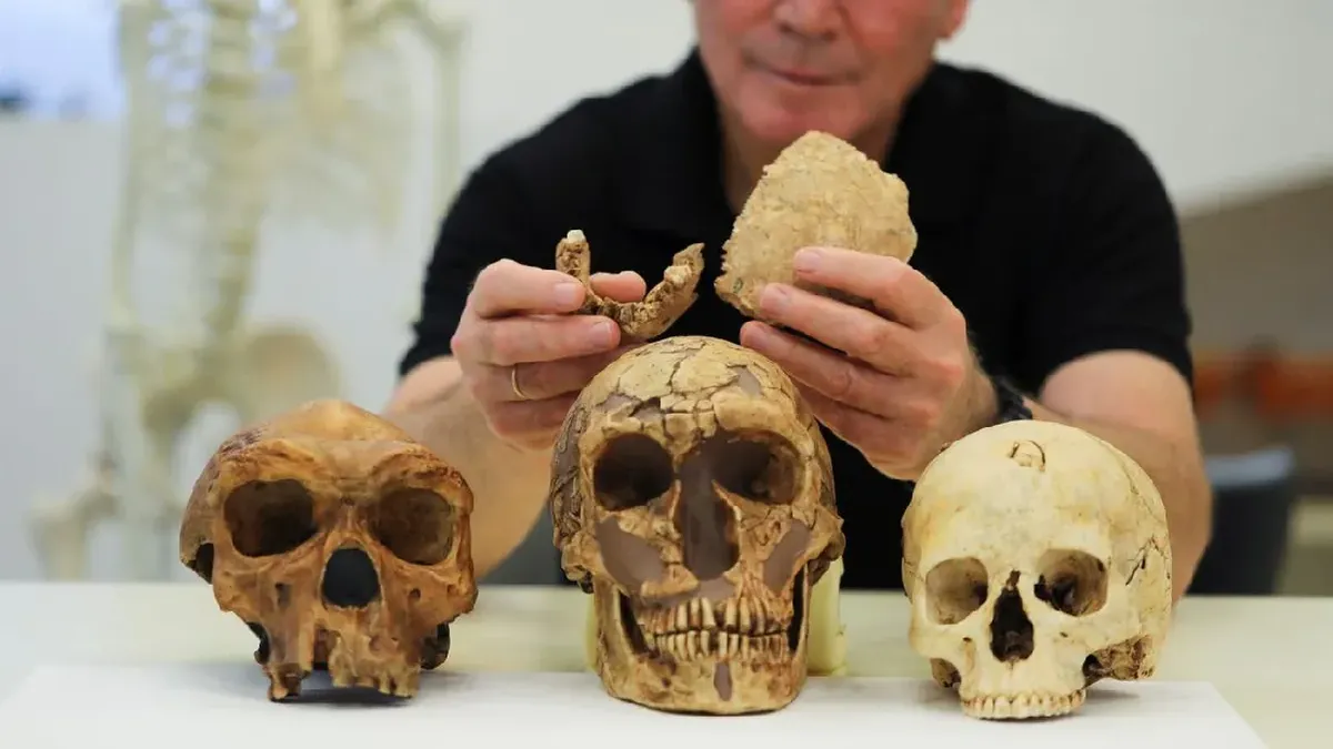 Bagaimana Homo Sapiens jadi Spesies Manusia Terakhir yang Tersisa?