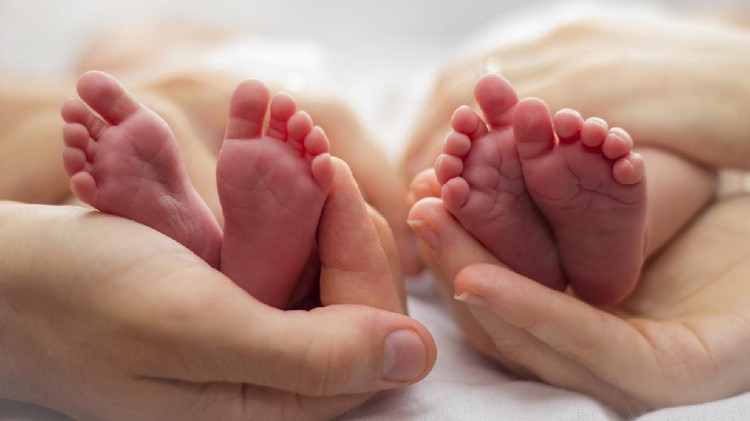 Ilustrasi bayi kembar Portrait showing parents' hands and babies' feet.