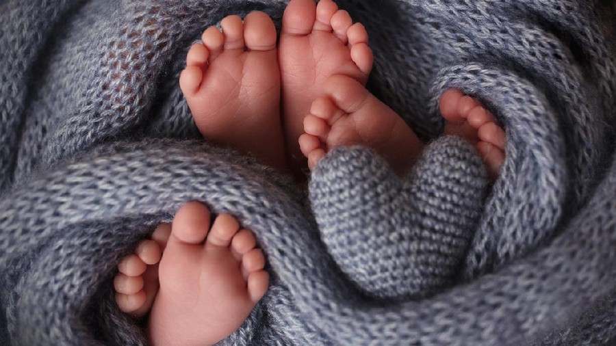 Portrait showing parents' hands and babies' feet.