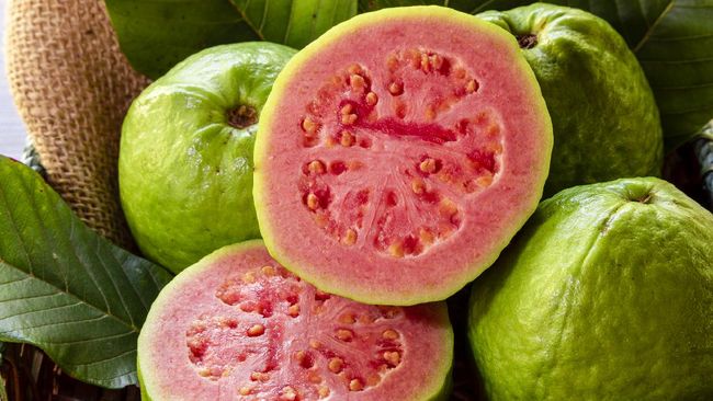 Jambu biji selama ini dipercaya bissa mengobati demam berdarah (DBD). Bagaimana fakta di balik mitos jambu biji untuk obat demam berdarah?