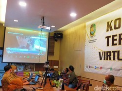 Pertama Kali di Jatim, Kontes Ternak Banyuwangi Digelar Virtual