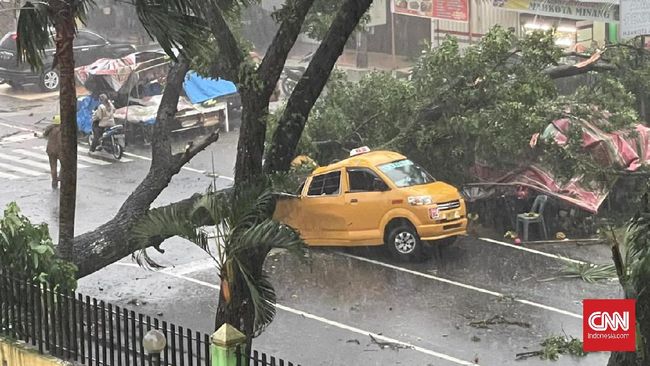Hujan deras disertai angin kencang menyebabkan pohon tumbang di sejumlah daerah di Kabupaten Bogor.