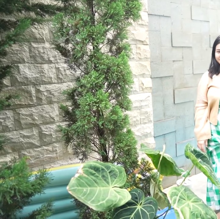 <p>Dari ruang tamu, bisa langsung dilihat taman kecil yang terhubung langsung dengan kolam renang mini. (Foto: YouTube: FELITOgether Official)</p>