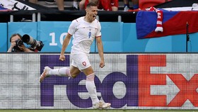Tomas Holes, Bintang Ceko yang Pulangkan Belanda dari Euro