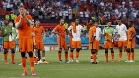 Belanda Layu Sebelum Berkembang