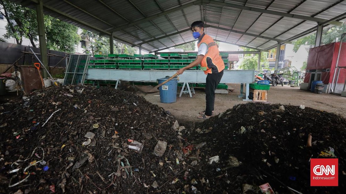 FOTO: Budidaya Maggot demi Kurangi Sampah Organik