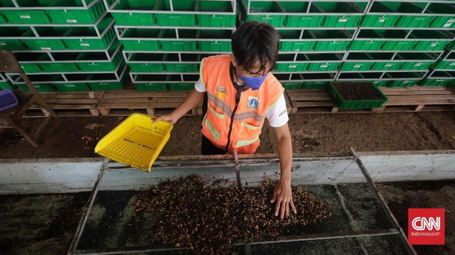 Pemprov DKI telah mencanangkan Jakarta Sadar Sampah dan menjadi wadah kolaborasi mewujudkan Jakarta yang lebih bersih dan hijau.