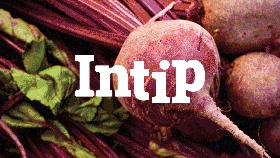 INTIP: Makanan Terbaik 'Penjaga' Paru-paru Tetap Sehat