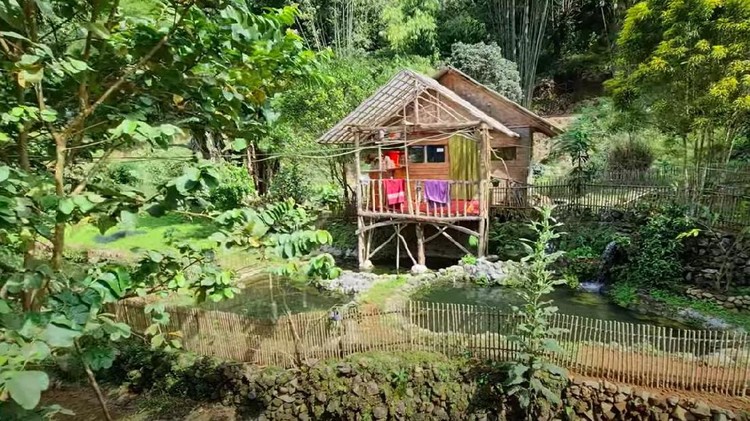 Rumah Tengah Hutan