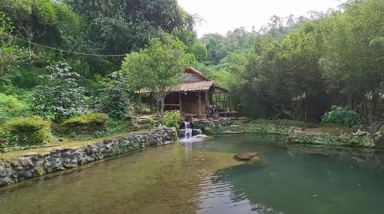 Rumah Tengah Hutan Rumah Tengah Hutan