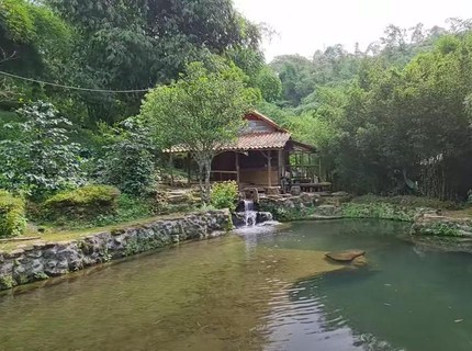 Mantan Pengusaha Boyong Istri Hidup di Hutan Tangkuban Perahu, Ini 9 Foto Rumahnya