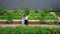 <p>Kalau bebas dari agen syuting, Prilly mengaku suka berkebun dan memanen hasil kebunnya, Bunda. Karena ternyata, Prilly lebih suka berada di rumah ketimbang pergi ke luar rumah tanpa tujuan. (Foto: YouTube Prilly Latuconsina)</p>
