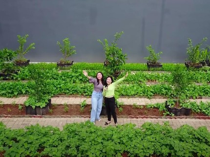 9 Foto Kebun Sayur Organik Prilly Latuconsina di Belakang Rumah, Luas Bun!