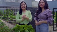 <p>Selain punya rumah yang super besar, ternyata Prilly Latuconsina punya kebun yang tak kalah luas. Dalam vlognya, ia mengajak sahabat lamanya, Aminda untuk panen, Bunda. (Foto: YouTube Prilly Latuconsina)</p>