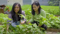 <p>"Aku membuat rumah aku tuh bisa melakukan banyak hal. Kayaknya di rumah aku bilang ruang biliar, home theater. Terus makanya ada lahan aku bikin kebun," ucapnya. Wah, bagaimana menurut Bunda soal kebun Prilly? Jadi ingin punya kebun sendiri ya? He-he-he. (Foto: YouTube Prilly Latuconsina)</p>