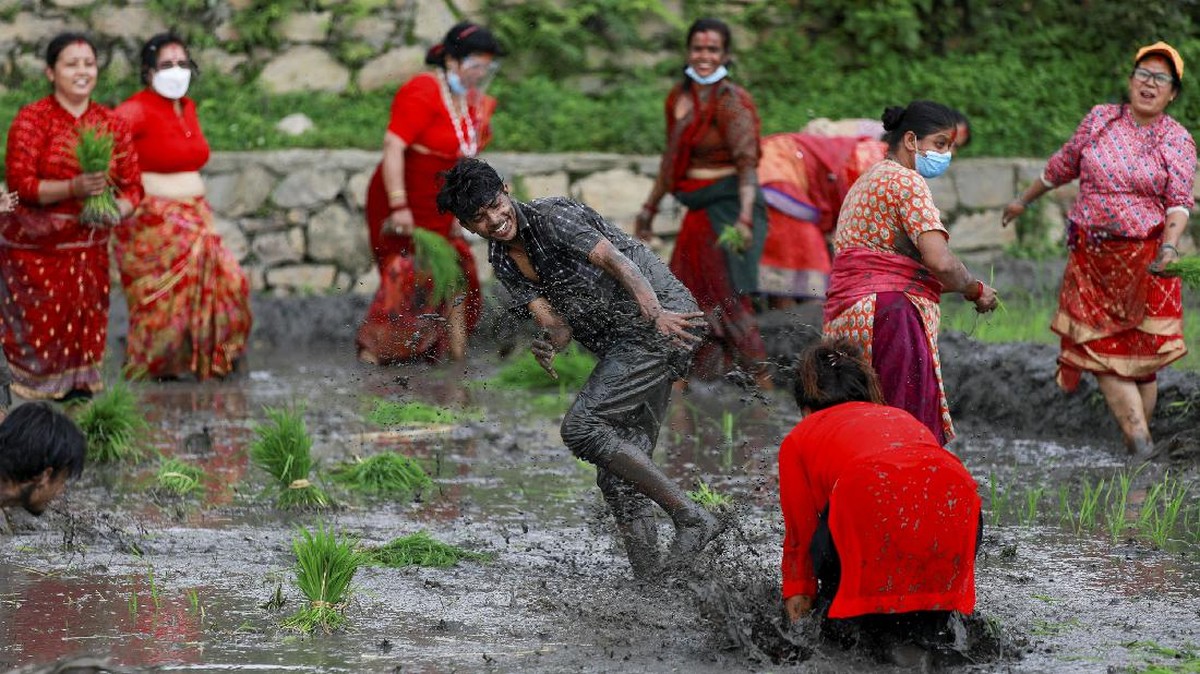 FOTO: 'Pesta' Mandi Lumpur di Hari Padi Nasional Nepal