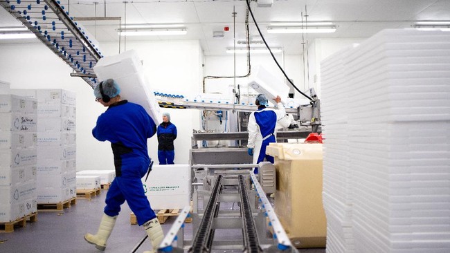 FOTO: Menengok Peternakan Salmon di Daratan Norwegia