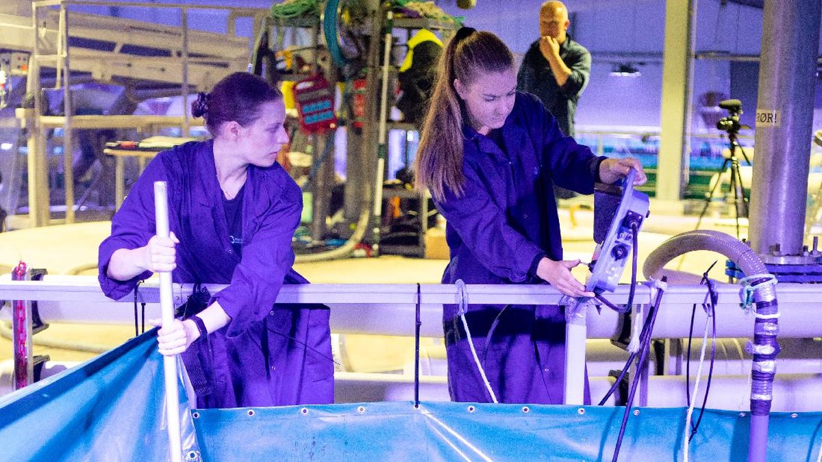 FOTO: Menengok Peternakan Salmon di Daratan Norwegia