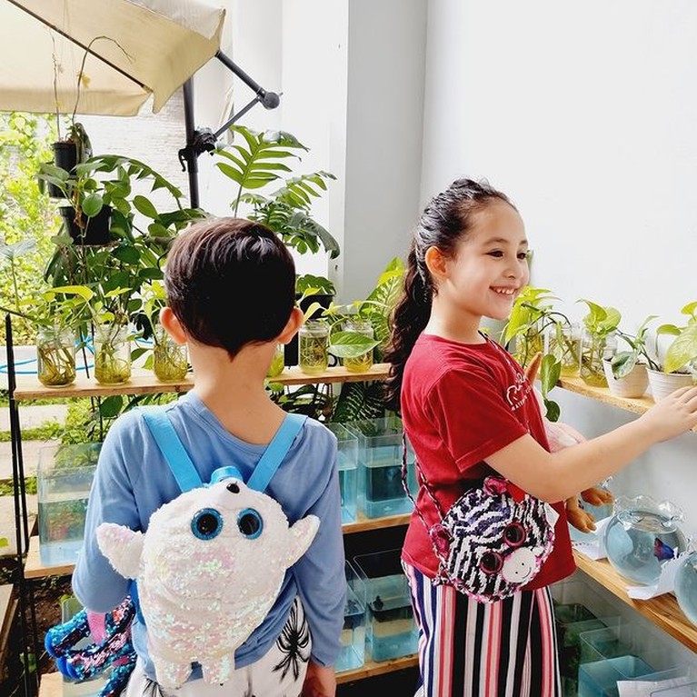 Potret Lucu Lakeisha dan Alqeinan Anak Arumi Bachsin dan Emil Dardak Pernikahan Arumi Bachsin dan Emil Dardak telah dikaruniai dua orang anak yang lucu. Yuk kita intip potret Lakeisha dan Alqeinan!