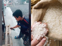 Bocah 11 Tahun Bekerja Minta Upah Beras untuk Makan Keluarga