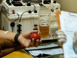 WHO Tak Rekomendasikan Terapi Plasma Konvalesen untuk COVID-19, Ini Sebabnya