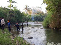 Mak Tratap! Ada Buaya Berjemur di Pinggir Sungai Boyolali