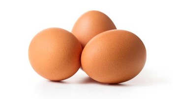TELUR HINGGA MAKANAN KALENG