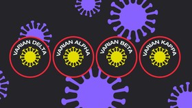 INFOGRAFIS: Sebaran Varian Baru Virus Corona di Indonesia