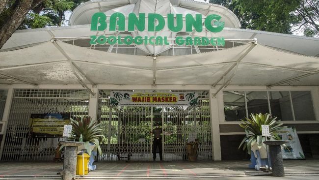 Lokasi, Jam Buka, dan Tiket Masuk Kebun Binatang Bandung Terbaru