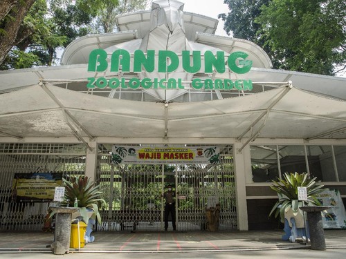 Walkot Bandung Beri Ultimatum Terkait Sengketa Manajemen Bandung Zoo