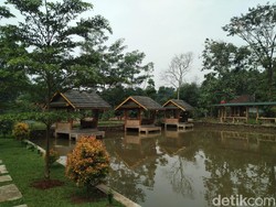 Restoran Hijau dan Asri Ini Cuma 45 Menit dari Jakarta!