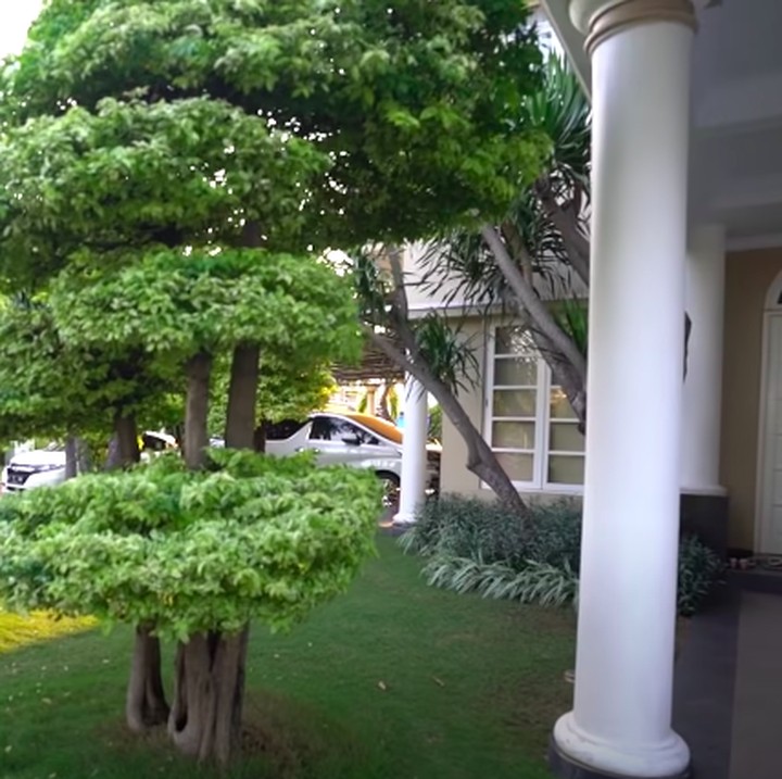 <p>Taman tanpa pagar di halaman rumahnya tertata rapi dan asri. Menjadi pemandangan yang sayang untuk dilewatkan ya, Bunda. Babizie mengaku mendesain rumahnya sendiri, karena memang saat ini masih belum ada pasangan lagi. Sebelumnya, kisah cinta Babizie viral setelah dia ditinggal menikah oleh Kompol Fahrul yang diklaimnya telah menjadlin hubungan selama tiga tahun. (Foto: YouTube @Shanty Denny)</p>