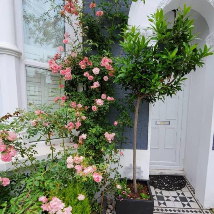 <p>Angie Virgin memutuskan untuk menetap di London setelah menikah, Bunda. Siapa yang sangka kalau Angie pecinta tanaman hias. (Foto: Instagram: @angie_virgin)</p>