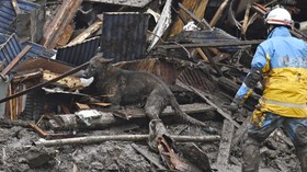 FOTO: Berjibaku Cari 80 Korban Hilang Longsor Jepang